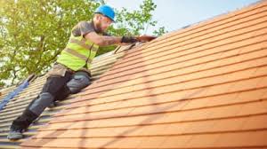 Best Rubber Roofing (EPDM, TPO)  in Reed City, MI