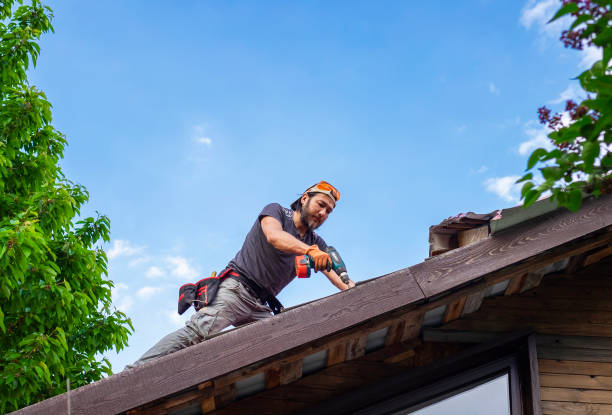 Best Asphalt Shingle Roofing  in Reed City, MI