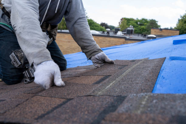 Best Roof Coating and Sealing  in Reed City, MI